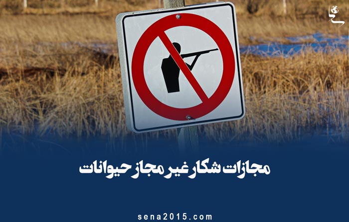 مجازات شکار غیر مجاز حیوانات